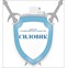 ООО "Силовик"