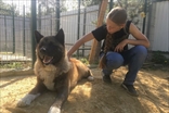 Фотографии гостиницы для собак