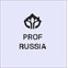 Профессионалы России