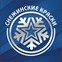 «Снежинские краски»