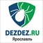 ООО "DezDez" Ярославль