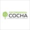 ЛИСТВЕННИЦА-СОСНА