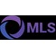 MLS | Агенство интернет-маркетинга